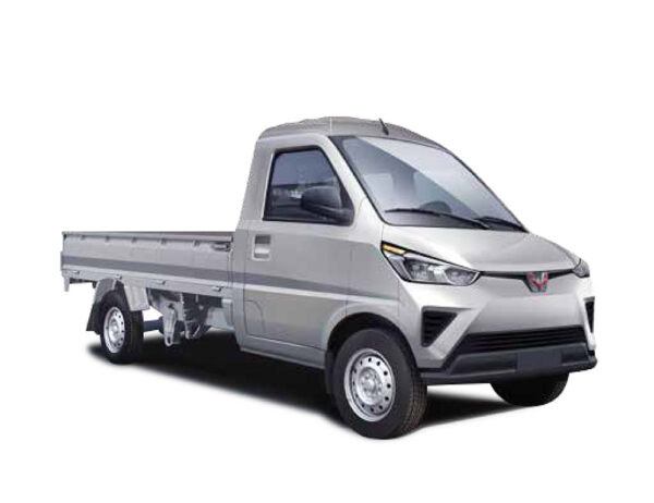 Pickup EV100