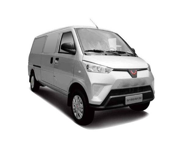 Van de Carga EV100